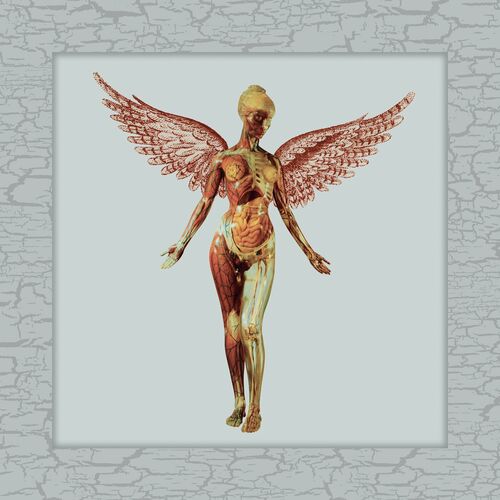 In Utero by Nirvana — album cover