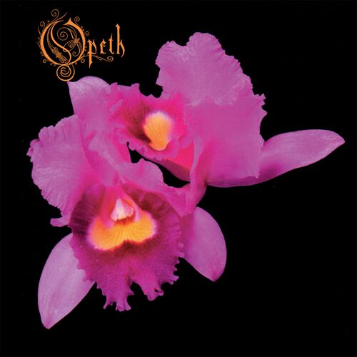 Orchid by Opeth — album cover