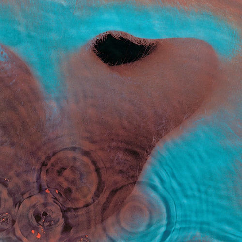 Meddle by Pink Floyd — album cover